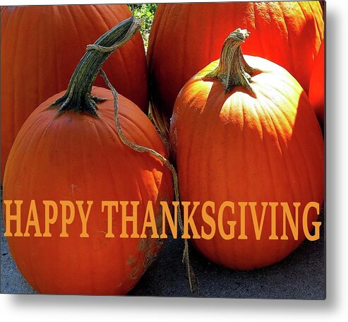 Thanksgiving Metal Print featuring the photograph Thanksgiving Card Two by Linda Stern