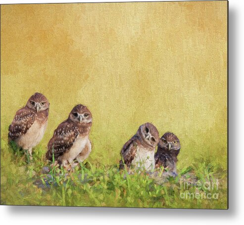 Burrowing Owls Metal Print featuring the digital art The Curious One by Jayne Carney