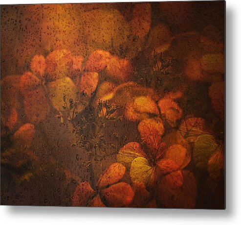 Hortensia Metal Print featuring the photograph The Joy Of Flowers . by Saskia Dingemans