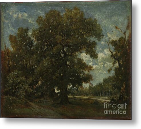 19th Century Metal Print featuring the drawing The Oak Tree by Heritage Images