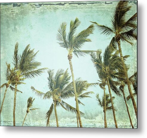 Palm Trees Metal Print featuring the photograph The Only Sound by Lupen Grainne