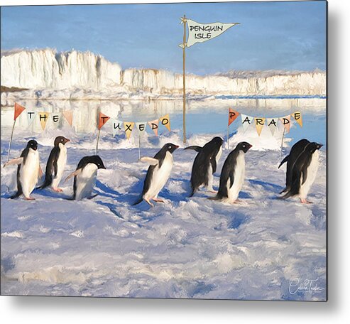 Penguins Metal Print featuring the mixed media The Tuxedo Parade by Colleen Taylor