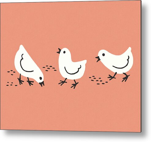 Animal Metal Print featuring the drawing Three Chicks by CSA Images