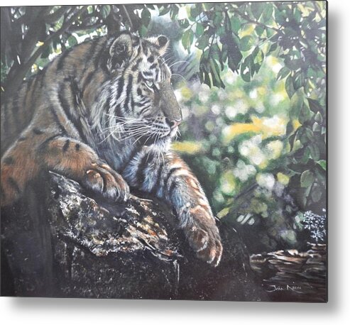 Tiger Metal Print featuring the painting Shady Tiger by John Neeve