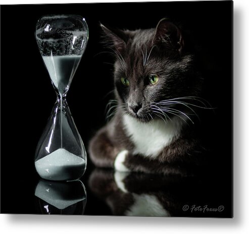 Cat Metal Print featuring the photograph Time Keeper by Alexander Fedin