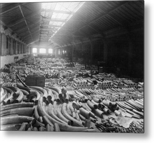 England Metal Print featuring the photograph Tusk Warehouse by Hulton Archive