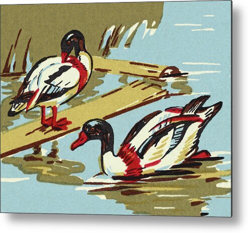 Animal Metal Poster featuring the drawing Two Ducks on a Pond by CSA Images