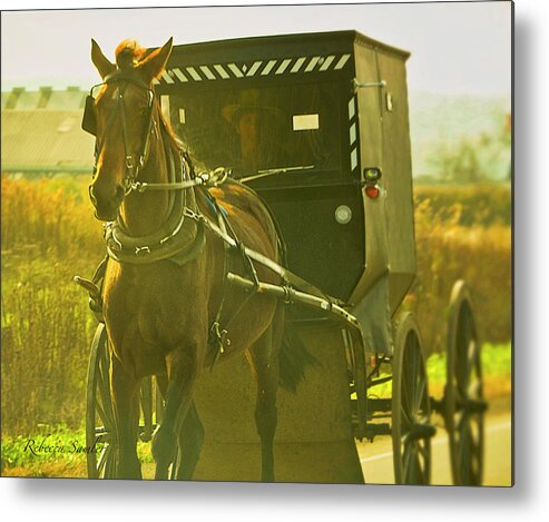 Amish Metal Print featuring the photograph Two Ships Passing by Rebecca Samler