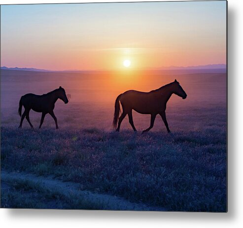Wildhorse Mustang Horse Equine Desert Sunset Sundown Metal Print featuring the photograph Violet Sunset Mustangs by Dirk Johnson