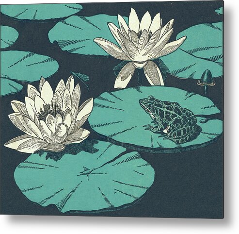 Amphibian Metal Print featuring the drawing Water Lillies and Toad by CSA Images