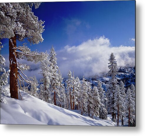 Scenics Metal Print featuring the photograph Winter In The High Sierra Mountains by Ron thomas