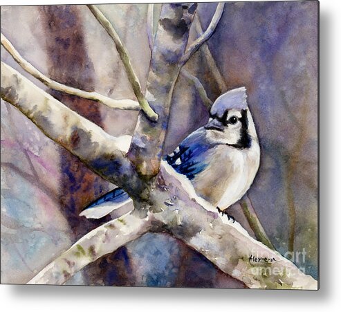 Blue Jay Metal Print featuring the painting Winter Jay by Hailey E Herrera