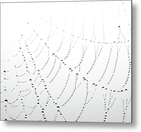 Spider Web Metal Print featuring the photograph Woven by Lupen Grainne