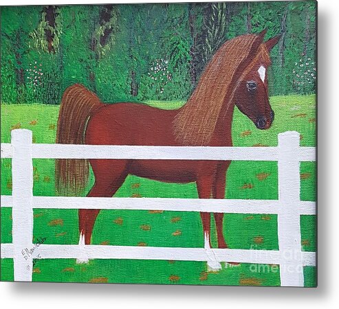 Arabian Horse Pasture Canvas Oil Acrylic Metal Print featuring the painting Young Arabian Horse by Elizabeth Mauldin