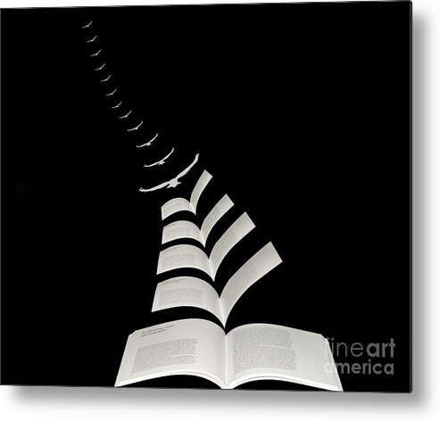 Photography Metal Print featuring the mixed media Reading gives you Wings #2 by Jim Hatch
