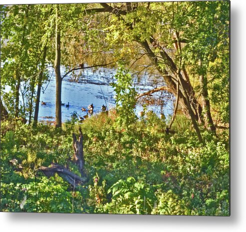 Ducks Metal Print featuring the photograph 2022 Mid-October Acewood Basin by Janis Senungetuk
