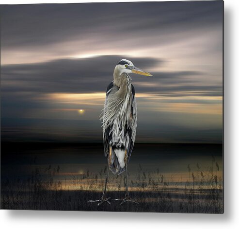Sunset Metal Print featuring the photograph 5174 by Peter Holme III