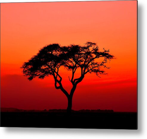 Africa Metal Print featuring the photograph A Solitary Acacia Tree in the African Sunset by Mitchell R Grosky