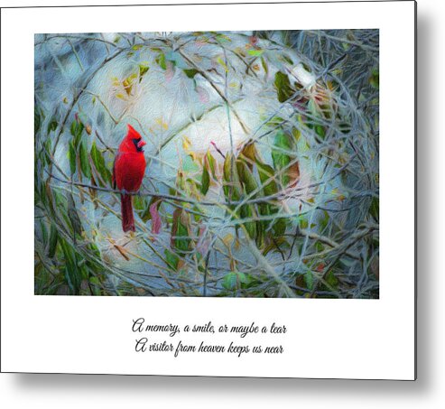 Cardinal Metal Print featuring the photograph A Visitor Sent From Heaven by Diane Lindon Coy
