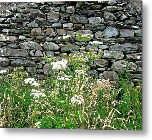 Stones Wall Grass Plants Metal Print featuring the photograph Abandoned Cottage Wall by Stephanie Moore
