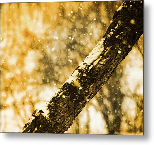 Winter Scene Metal Print featuring the photograph Amber Snow by Simone Hester