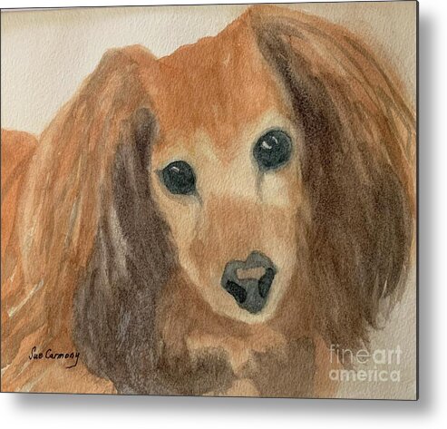 Dog Metal Print featuring the painting Annabel by Sue Carmony