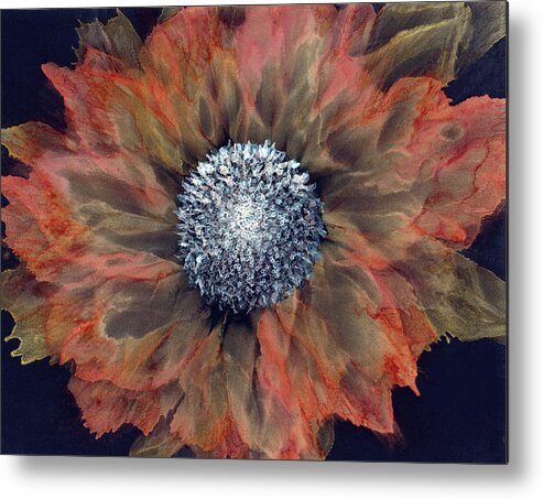 Art Metal Print featuring the painting Autumn Bloom by Kimberly Deene Langlois