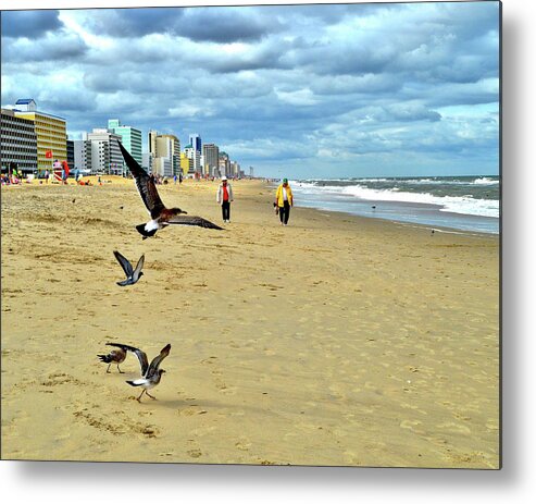 Beach Combers Metal Print featuring the photograph Beach Comber Traffic by Susie Loechler
