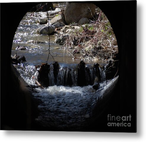 Nature Metal Print featuring the photograph Beyond the Drain by William Norton