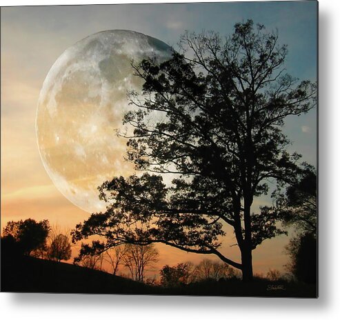 Moon Metal Print featuring the photograph Big Moon in Sunset by Shara Abel