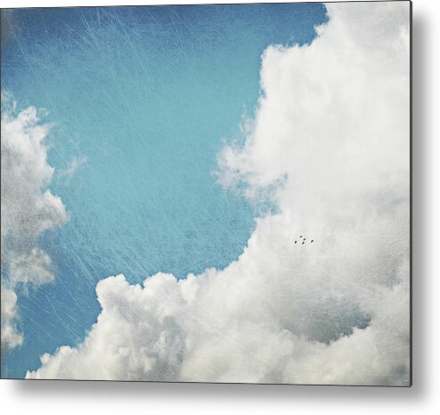 Birds Metal Print featuring the photograph Birds In a Big Sky by Lupen Grainne