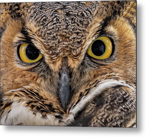 Owl Metal Print featuring the photograph Bright Eyes by James Overesch