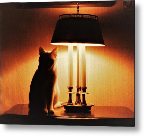 Cat Lamp Desk Light Shadow Metal Print featuring the photograph Cat Lamp by John Linnemeyer