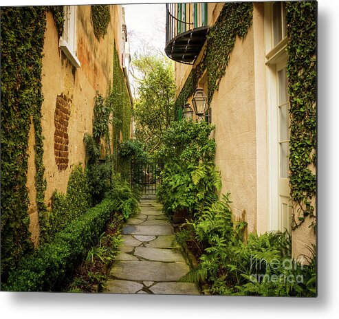 Charleston Metal Print featuring the photograph Charleston Garden Walkway - View 8 by Sturgeon Photography