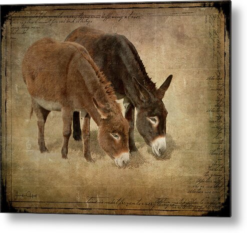 Donkeys Metal Print featuring the digital art Daisy and Wilma by Linda Lee Hall