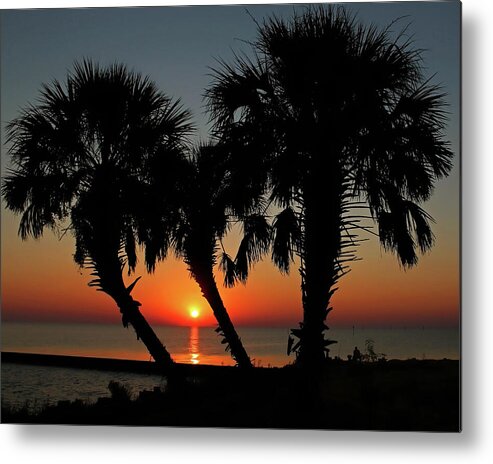 Sunset Metal Print featuring the photograph Daybreak by Judy Vincent