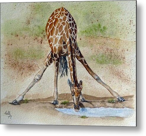 Giraffe Metal Print featuring the painting Drinking Giraffe by Kelly Mills