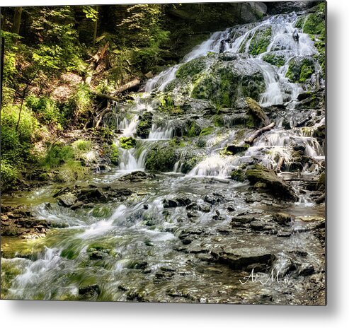 Dunning Metal Print featuring the photograph Dunnings Spring Falls by Al Mueller