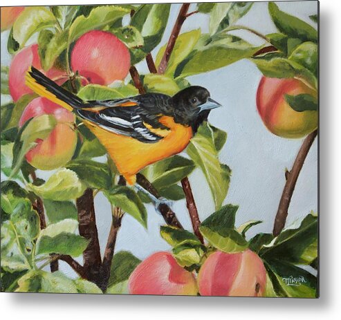 Baltimore Oriole Metal Print featuring the painting Easy Picking by Tammy Taylor