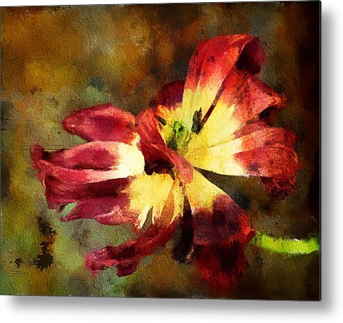 Tulip Metal Print featuring the photograph Faded elegance by Tatiana Travelways