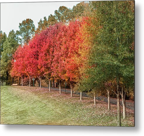 Fall Metal Print featuring the photograph Fall Rainbow by Rick Nelson