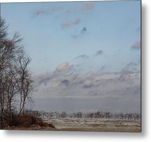 Cold Metal Print featuring the photograph February 2022 by George Pennington