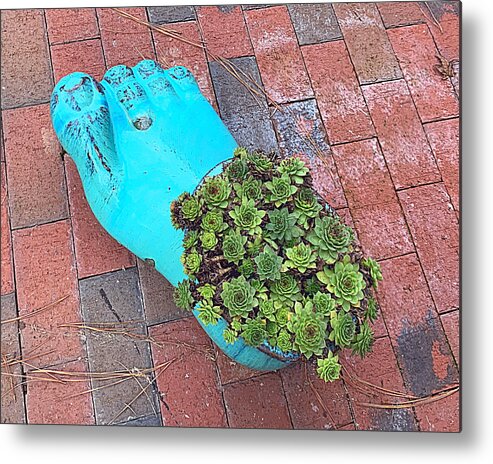 Cactus Metal Print featuring the photograph Footlong Cactus by Lee Darnell