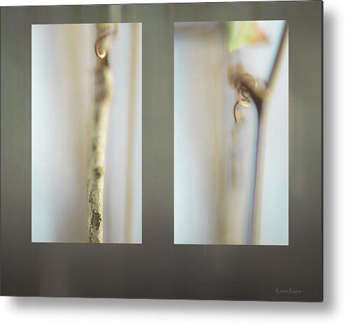 Tree Metal Print featuring the photograph Forest Stems by Karen Rispin
