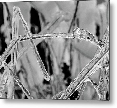 Textured Metal Print featuring the photograph Frozen Grass Black and White by Pelo Blanco Photo