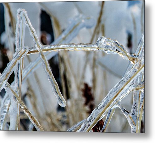 Textured Metal Print featuring the photograph Frozen Grass by Pelo Blanco Photo