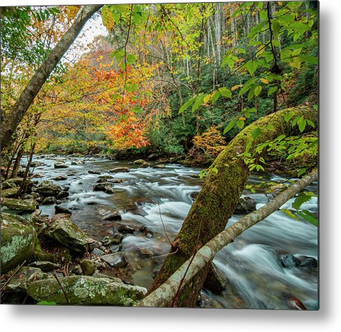 Tennessee Metal Print featuring the photograph Gsmnp 1 by Brian Howerton