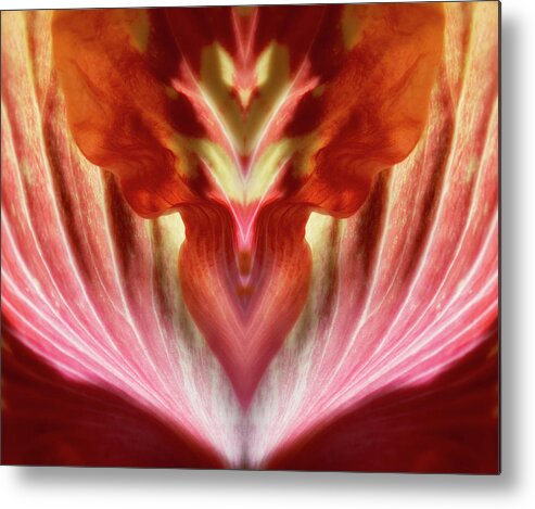 Flower Metal Print featuring the photograph Hibiscus Symmetry by Karen Smale