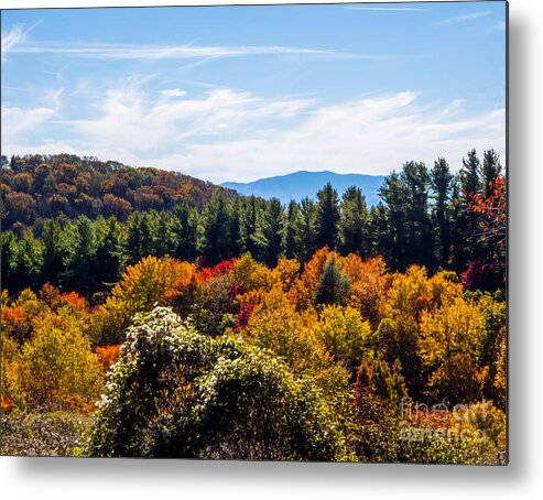 Blue Ridge Parkway Metal Print featuring the photograph Hiking on the Max Patch Trail in North Carolina by L Bosco