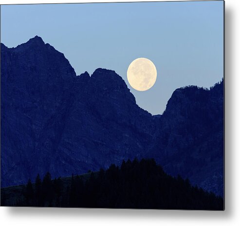 Grand Tetons Metal Print featuring the photograph Hole in One by Maresa Pryor-Luzier